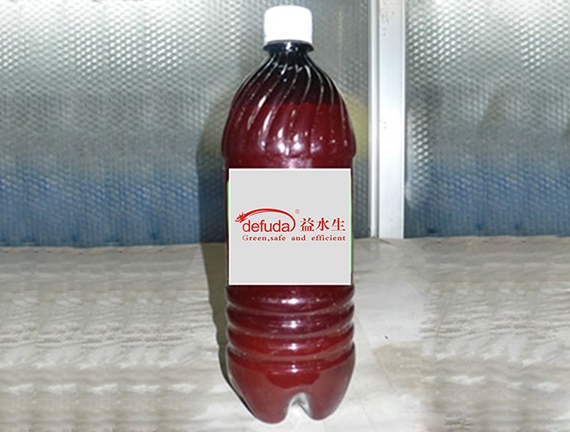 泰安水产专用丁酸梭菌原液